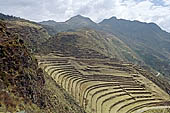 Urubamba Valley, spectacular terraces at Pisac